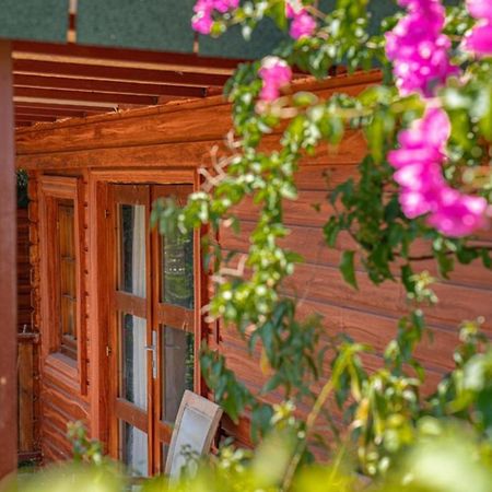 Felicity Hotel & Bungalows Kemer Exterior foto