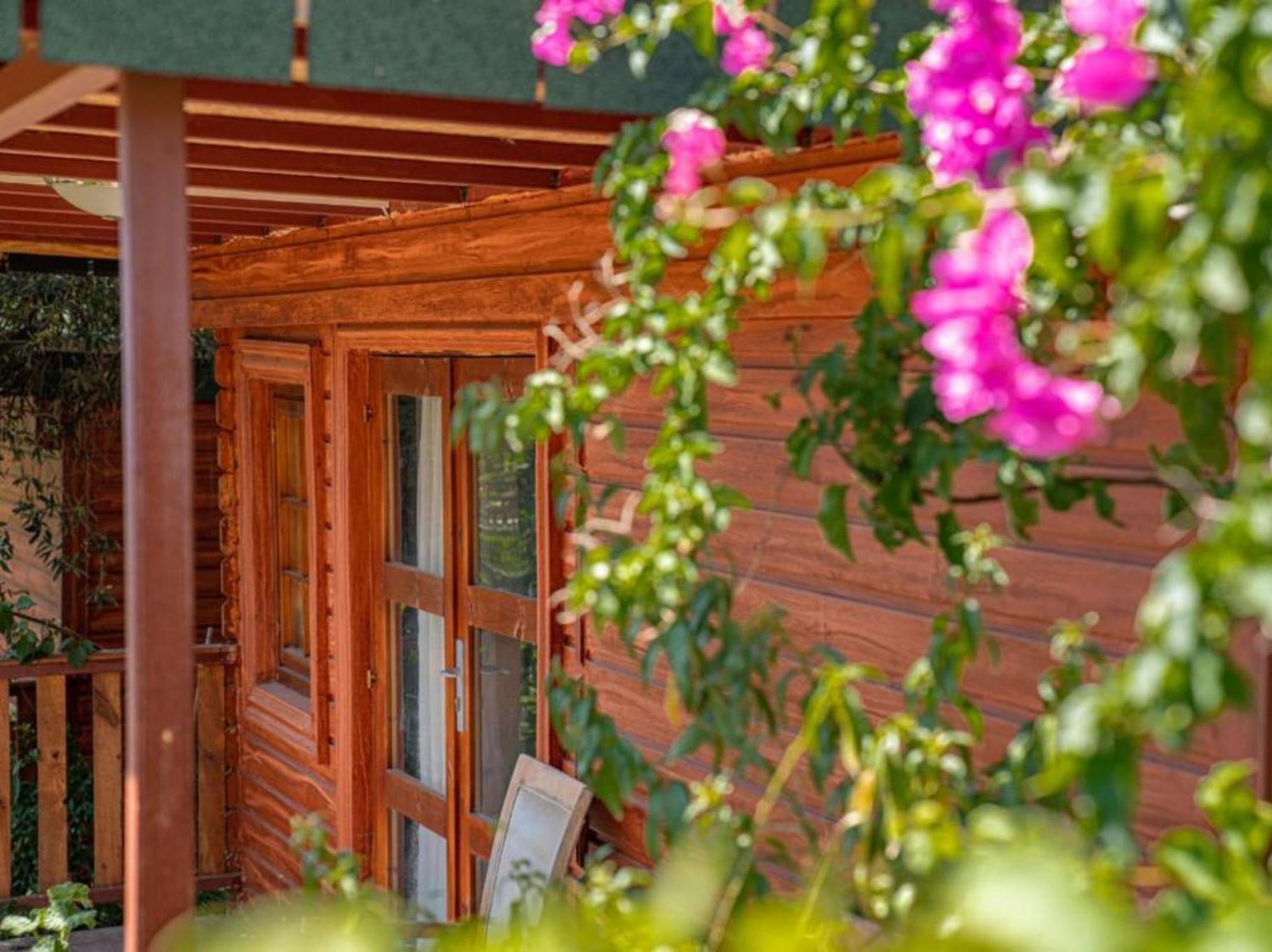 Felicity Hotel & Bungalows Kemer Exterior foto